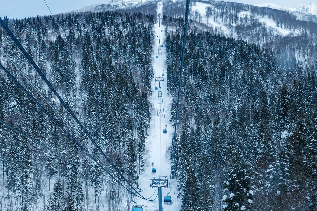 スノーフィートで滑走可能、滑れるスキー場・ゲレンデは？各都道府県別にご紹介 | SnowfeetFan